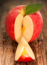 Load image into Gallery viewer, Fuji Apple Tree - USDA Organic
